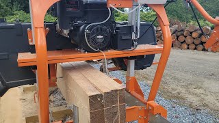 Making Lumber for Projects Around the Homestead LM30 Norwood Sawmill [upl. by Hughie]