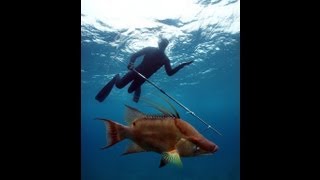 Spearfishing with Cameron Kirkconnell in the Exumas [upl. by Edva]