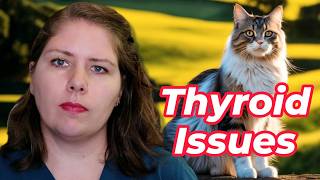 Hyperthyroidism What You Need to Know  Vets Voice [upl. by Anelec]