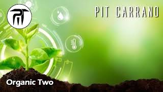 Pit Carrano  Organic Two [upl. by Sinnaoi]