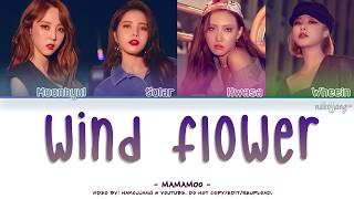 MAMAMOO 마마무 – WIND FLOWER Color Coded Lyrics EngRomHan가사 [upl. by Efrem]