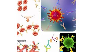 Antigen Antibody Reaction Part II  ODD Blood grouping Compliment Fixation test [upl. by Aeniah]