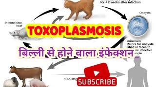 Toxoplasma gondii life cycle pathogenesis lab diagnosis amp treatment in hindi [upl. by Caylor]