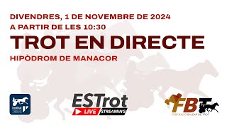 Directe des de lHipòdrom de Manacor Mallorca  1 de Novembre de 2024  Sessió de Matí [upl. by Rather]