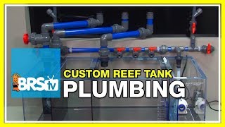 Week 5 Plumbing Overflows and Return Pumps  52 Weeks of Reefing [upl. by Uht]