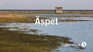 Äspet [upl. by Herzel]