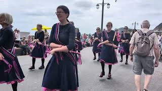 Sidmouth Folk Festival 2024  Saturday Procession [upl. by Justinian]