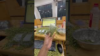 ‼️Cardamom auction…………………… cardamom entrepreneur bussiness youtubeshorts spices auction [upl. by Ainotna]