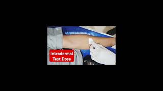 How to give test dose in intradermal intradermal injection Technique intradermal testdose [upl. by Anala]