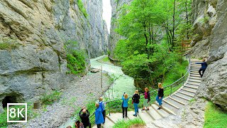 Aareschlucht The Most Beautiful Gorge in Meiringen Switzerland 8K [upl. by Pepe4]