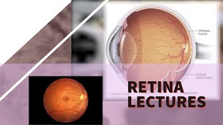 RETINA lecture 19 RETINOPATHY OF PREMATURITY stages and management in detail [upl. by Latini236]