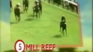 mill reef gimcrack [upl. by Ramo]