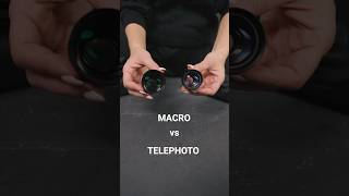 What’s the difference between a Macro Lens and a Telephoto Lens🤔 shorts macrophotography iphone [upl. by Garlen]