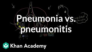 Pneumonia vs pneumonitis  Respiratory system diseases  NCLEXRN  Khan Academy [upl. by Yesnek887]