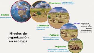 Ecologia de las poblaciones comunidad y ecosistema Bioma poblacion especie nicho habitat [upl. by Navlys]