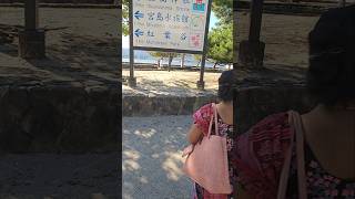 miyajima itsukushima shrine japantravel divine beauty [upl. by Dnyletak831]