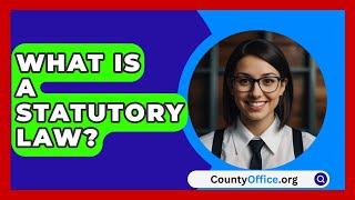 What Is a Statutory Law  CountyOfficeorg [upl. by Syhr]