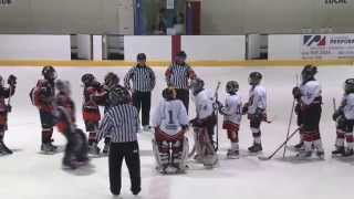 Finale Pee Wee A Tournoi Napierville 2011 [upl. by Lleruj56]