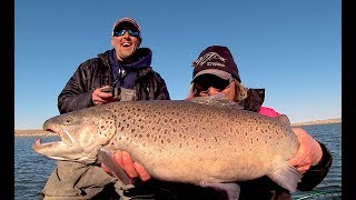 Bucket List Brown Trout ft Eric Haataja [upl. by Heda]