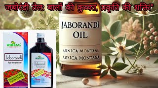 Jaborandi Hair Oil ॥ Wheezal Jaborandi तेल के फ़ायदे और इस्तेमाल करने का सही तरीका ॥ [upl. by Vassily785]