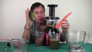 Using the Tribest Slowstar Vertical Slow Juicer to Make a Vegetable Juice Recipe [upl. by Angelo]