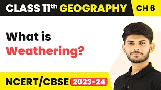 Weathering  Geomorphic Processes  Class 11 Geography [upl. by Izak]