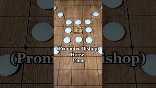 How do SHOGI PIECES MOVE 将棋 shogi japanese chess shorts [upl. by Annaliese]