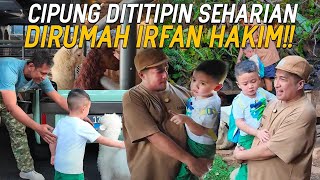 SEHARIAN NGASUH BINATANG DIRUMAH IRFAN HAKIM CIPUNG KEGIRANGAN DIKASIH BABY DOMBA BUAT BAWA PULANG [upl. by Annah]