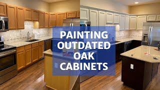 Painting Oak Cabinets  Transform Your Kitchen [upl. by Aynuat166]