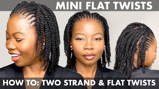 HOW TO DO MINI FLAT TWISTS ON NATURAL HAIR  SIMPLE PROTECTIVE STYLE howto [upl. by Moffitt647]