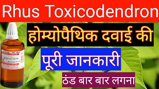 Rhus toxicodendron रस टॉक्स Rhus tox 302001M Homoeopathic benefits and Use All details rhus tox [upl. by Layod]