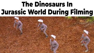 Dinosaur Memes [upl. by Rodolfo438]