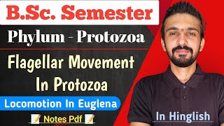 Flagellar Locomotion In Euglena  Phylum  Protozoa  Bsc Semester  By Dadhich Sir [upl. by Oirogerg567]