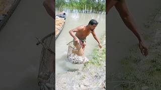 Sundarbans fishing fishing sundarban nature fishinglife [upl. by Shriner]