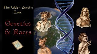 The Genetics of the Races of Tamriel  The Elder Scrolls Lore [upl. by Faun]