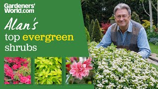 Five evergreen shrubs  Alan Titchmarsh [upl. by Adiv]