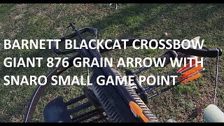 Barnett BLACKCAT Recruit Crossbow GIANT SNARO SMALL GAME POINT [upl. by Mcgrody]