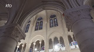 Révéler le mystère  à NotreDame de Paris laménagement sonore et visuel commence [upl. by Elylrac764]