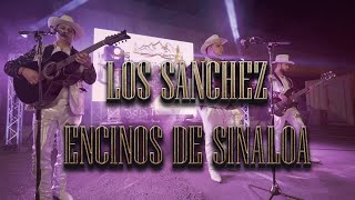 Los Encinos de Sinaloa “El Corrido De Los Sanchez” 2022 [upl. by Beckett182]