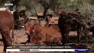 Concern over pesticide resistant ticks [upl. by Connor771]