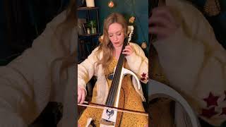 Champagne Problems  Taylor Swift Cello Version [upl. by Risley400]