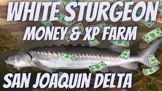 Fishing Planet  San Joaquin Delta  Sturgeon Bullet Farm  10 Sturgeon in less than 15 min 🎣 [upl. by Ative]