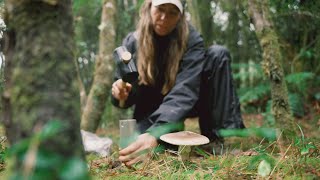 Meet the mycologists aiming to illuminate the hidden world of fungi [upl. by Ellerd704]