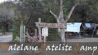 Malelane Satellite Camp In The Southern Kruger  Kruger Park Rest Camps  Stories Of The Kruger [upl. by Devon]