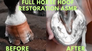 Super Clean Hoof Trim Trimming Overgrown Sheep Hooves [upl. by Smith]