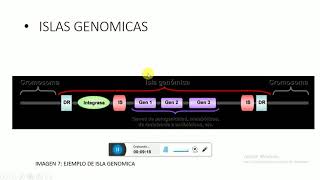 GENOMA BACTERIANO OPERONES E ISLAS DE PATOGENICIDAD [upl. by Purpura]