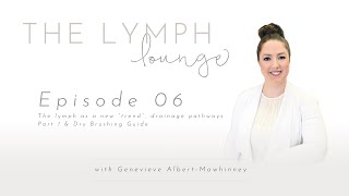 06 Lymph as a new “trend” drainage pathways part 1 amp Dry Brushing Guide [upl. by Leupold]