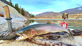 GIANT Trout Catch amp Cook Fishing in WOLF INFESTED Mountains [upl. by Linehan]