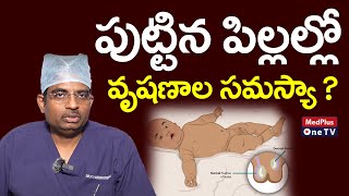 Undescended Testicles Causes  DrVamsi Krishna MedPlusONETV [upl. by Zapot]