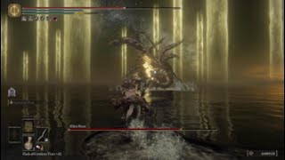 Beating 1 of the best Elden Ring bosses and objectively the worst Elden Ring boss NG2 1st try fr [upl. by Enimasaj]